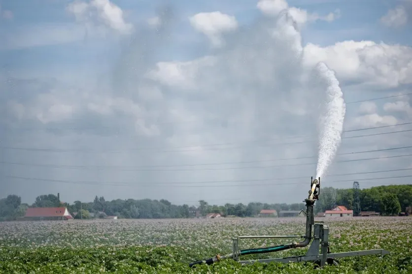 Canon d'irrigation arrosant une parcelle agricole